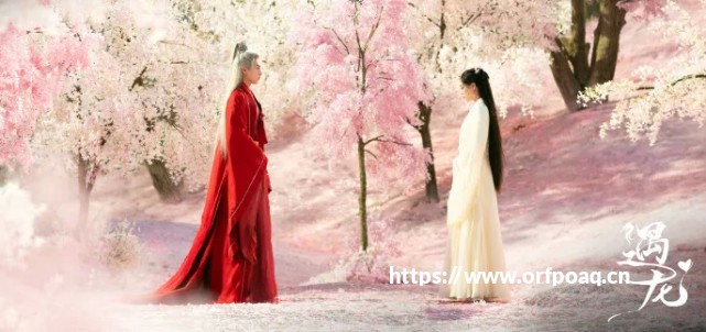 4366《通天西游》取经人养成揭秘